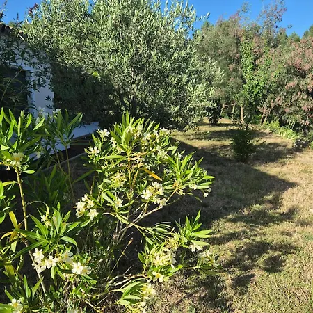 160 M2 - 4 - Piscine Privative Payzac (Ardeche)